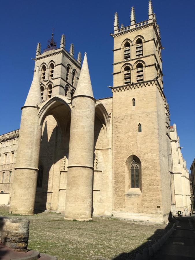 Duplex With Cathedral View Apartamento *